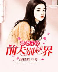 书名 《婚婚欲碎:前夫